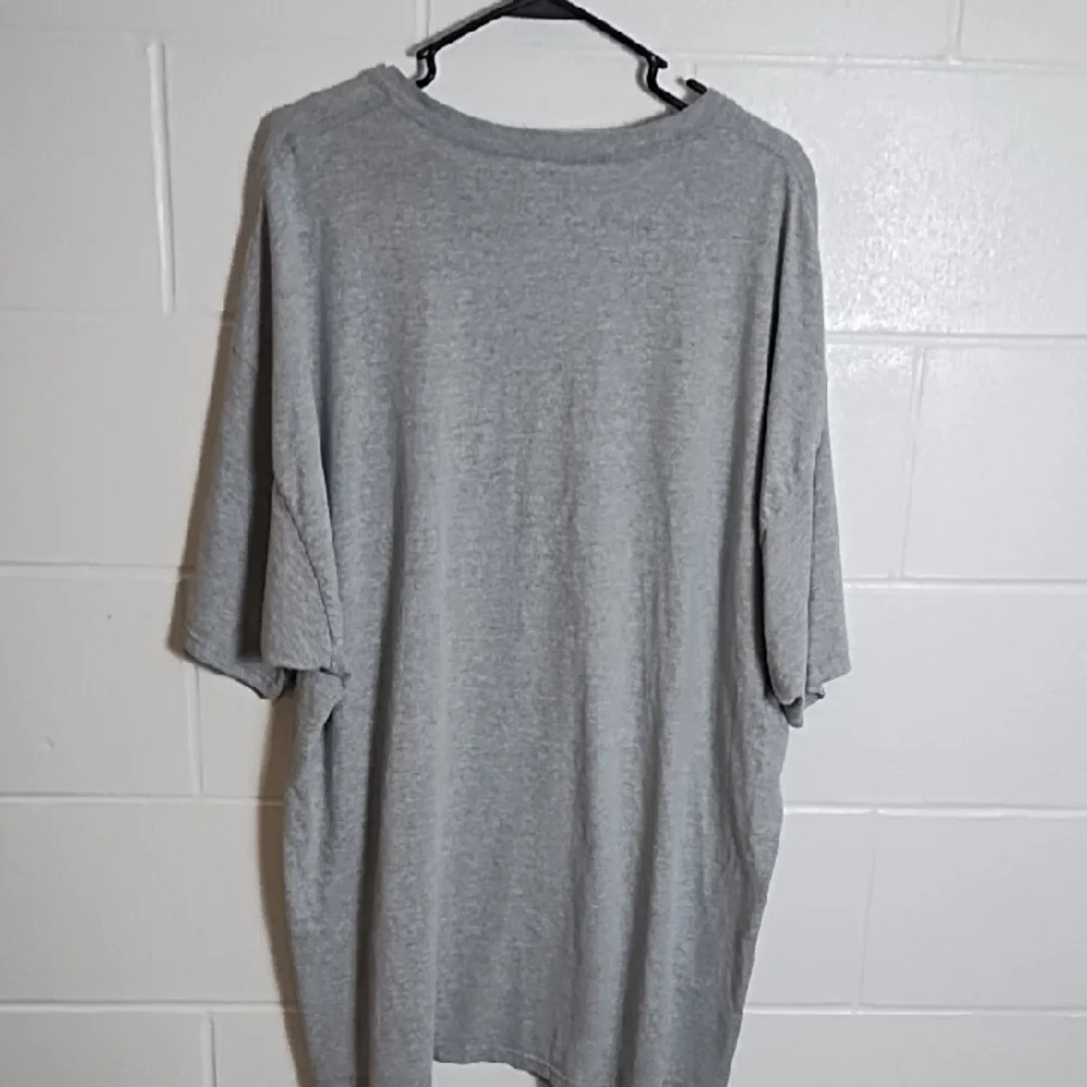 Champion Gray Transylvania Athletics Tee Shirt - Picture 2 of 11